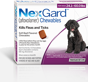 3 month oral flea and tick medication for dogs