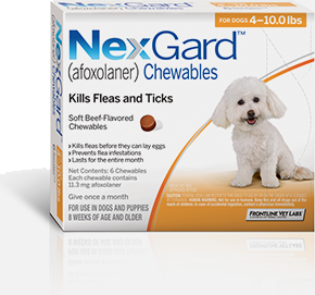edible flea and tick for dogs